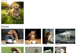 Image search engine using Deep Learning Model.