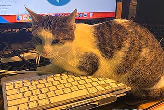 All Data and AI Weekly #215: 10 November 2025