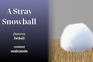 Title card: a ball of white fur in a field of dry grass, beside the story name and details: “A Stray Snowball. Features: fatball. Content: male/male.”