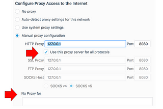 Installing Burp Suite Application Proxy