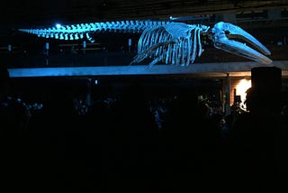La ida y vuelta del elefante blanco