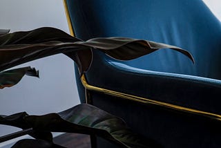 We love the combination between the leaves of this Philodendron and the velvet of the chair