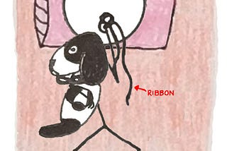 Spare Ribbons