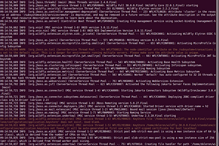 REST, Maven, Java 17 & Wildfly 30