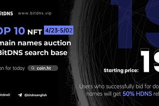 How to participate in the BitDNS domain names auction?