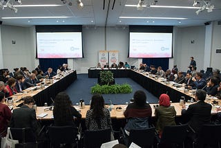 Who has a say in IMF programs?