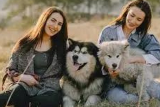 The Unwavering Bond Between Humans and Their Canine Companions: Celebrating Unconditional Love
