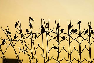 The Promptly Written Monthly Theme for August