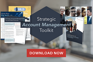 RAIN Group Launches Strategic Account Management Toolkit