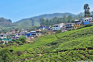 Munnar Hill Station & Tea Plantations, Munnar, Idukki, Kerala Visit, Travel Guide — visiting…
