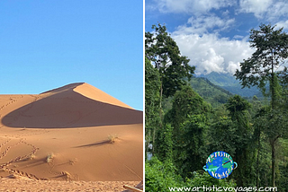 Green Means Life — Transitioning From the Desert To the Jungle