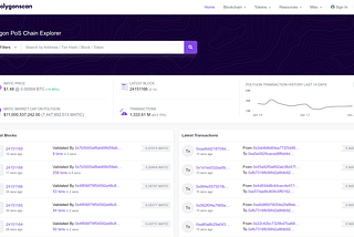 Setting up Metamask for Polygon (Matic Network)