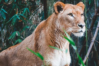 How to Build Your Foundation as a Leader