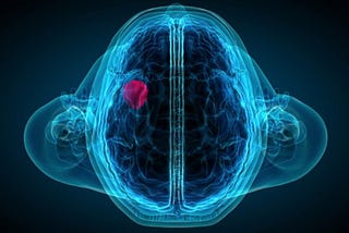 Unraveling the Mysteries of Brain Tumors: Insights from Cutting-Edge Neurobiology Research