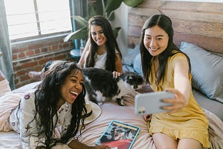 FAQ: Your New Cat Photo Storage Device™