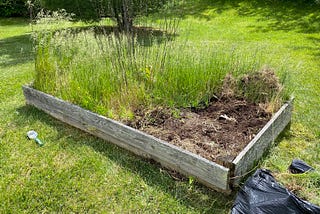 Author’s garden bed full of weeds