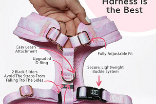 Benefits of Adjustable Dog Harnesses