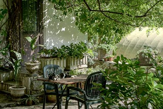 The Garden That Grew Me