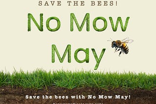 No Mow May: Save the Bees and Your Lawn
