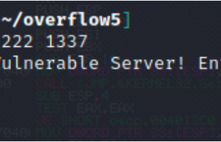 Tryhackme Buffer Overflow5
