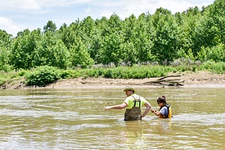 A man in waders stands waist deep in the Cuyahoga River in a wooded location. The treeline in the distance is bright green. Beside him is a shorter colleague and the waterline is up to her torso.