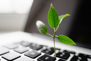 The Intersection of Sustainability and Technology: Paving the Path to a Greener Future