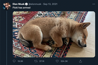 Elon Musk tweets “Floki has arrived”