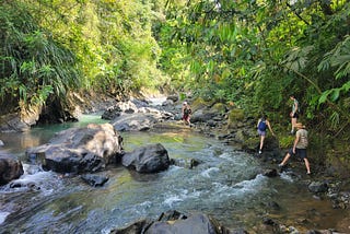 How the Restore a Jungle (or, an Ode to VerdEnergia)