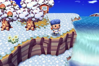 Still Playing: Animal Crossing City Folk