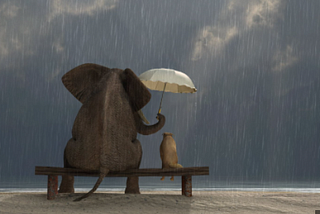 Remember, a Small Act of Kindness Makes A Big impact