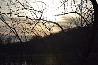 Nature is a Homecoming