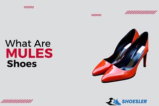 WHAT ARE MULES SHOES: A COMFORTABLE FOOTWEAR CHOICE
