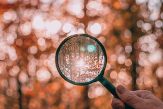 Magnifying glass in red forest