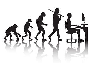 Evolution of a Software Engineer
