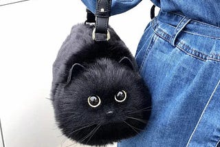 Why is the KittyPurse both stylish and practical?