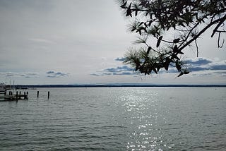 A photo of the Patuxent River from Broomes Island taken by the author in March 2024. There is a pier to the left. A pine branch hangs over the right side of the image.