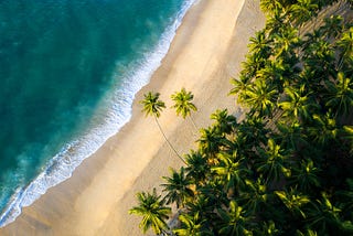 Tangalle Tranquility: Your Coastal Escape with Ruisha Tours