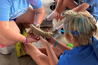 A Tribute to the Nature Hut Animals of Summer 2024
