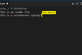 Why You Should Give VS Code Live Share A Chance: