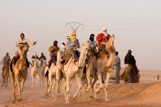 Camel Race Secrets