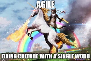 Agile: 3 signs that you may be drinking Unicorn blood