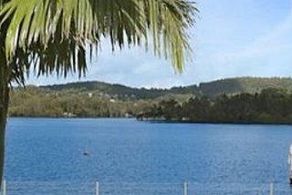 Home at the Bay. Green grass and a palm tree overlooking the peaceful blue water bay.