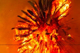 Talking To Children About the LA Wildfires: Navigating Uncertainty with Calm and Care