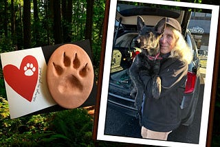 An image of a heart card, a plaster cast of a dog’s footprint, and a woman with grey hair holding a Dutch Shepherd dog.