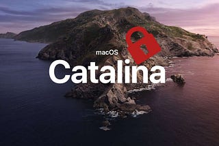 How Do I Modify Files in System in macOS Catalina?