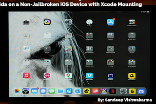 Frida on Non-Jailbroken iOS Device with Xcode Mounting