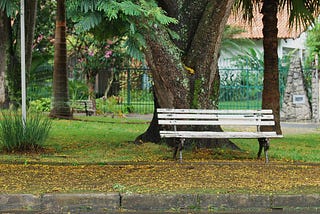 Um dia no banco da praça