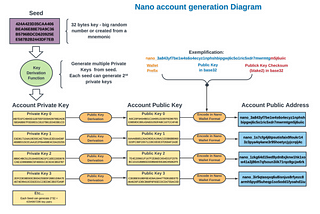 Armazenando Dados em transações Nano