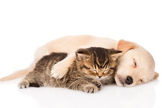 How many hours sleep do you really need?