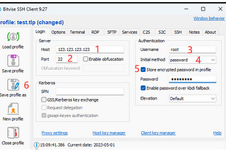 0 command SSH for Dummy using Bitvise Client